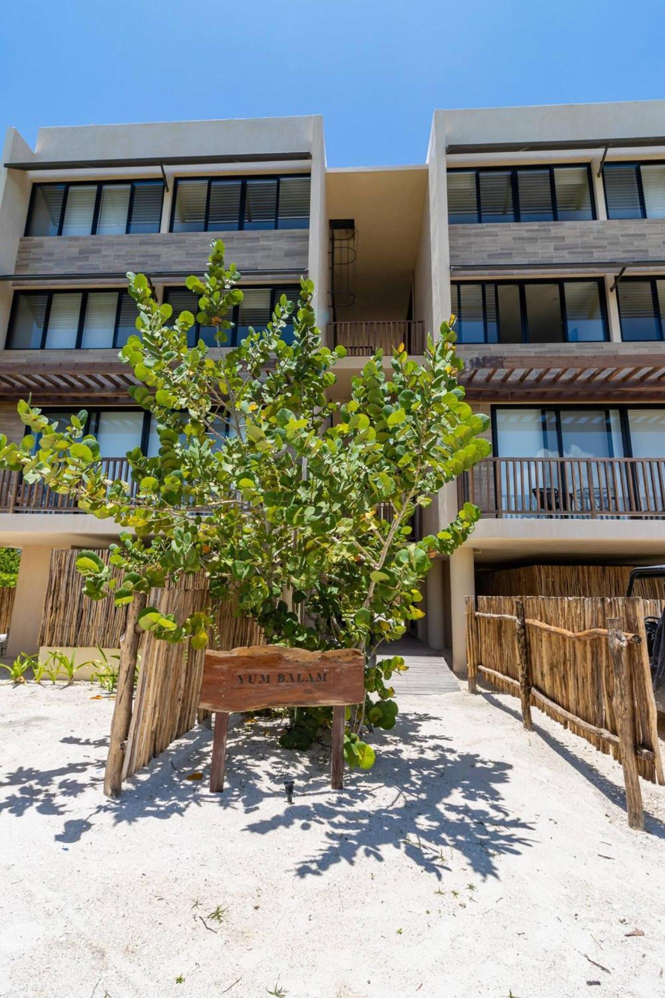 Pool View Loft Steps From The Ocean In Punta Cocos - C101 Hotel Isla Holbox Ngoại thất bức ảnh